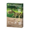 Smithsonian Dinosaur Fossils Value Kit